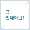 금인레이란?